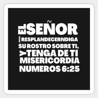 Numbers 6-25 Lord Be Gracious To You Spanish Magnet